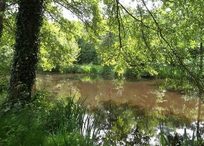 Sur Pilotis Avec Terrasse Et Cuisine Equipee - Api-1-52-1492 * Avrillé